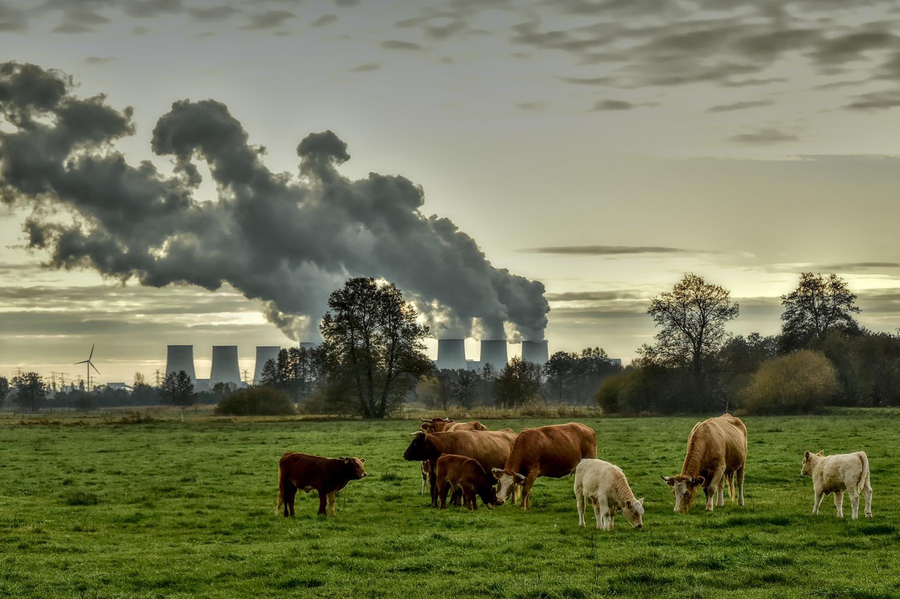 What Are The 3 Main Causes Of Air Pollution Unveiling The Culprits