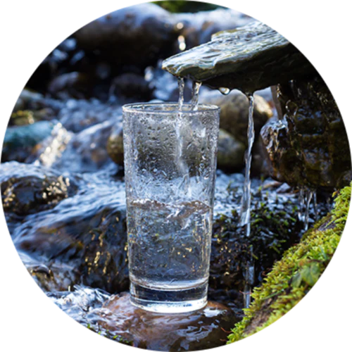 Partners Genzon Water Water Purifiers & Filters