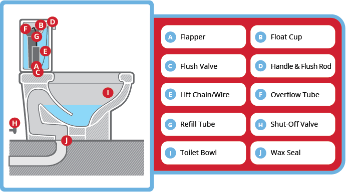 Anatomy of a Toilet Explained | Parts of a Toilet