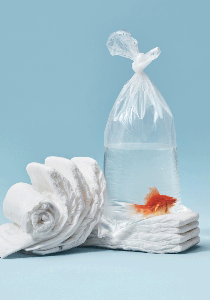 Coterie Garrett Elizabeth Office