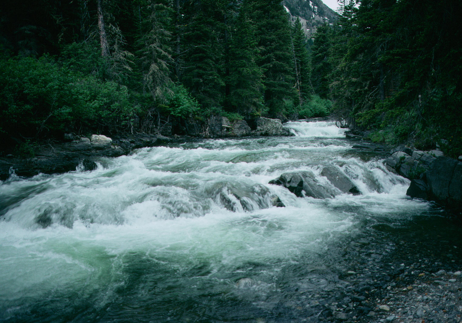 2139 Big Timber Creek