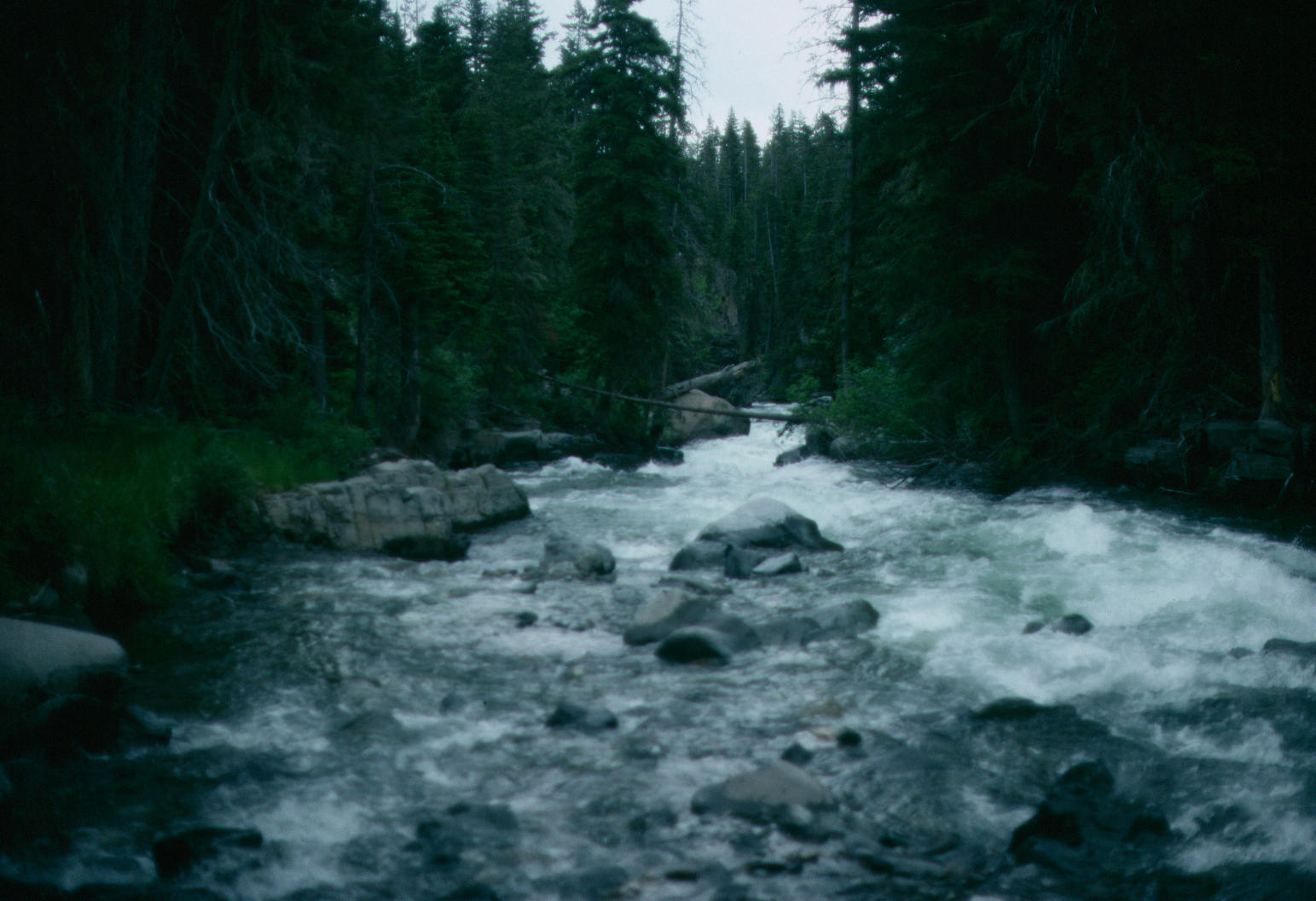 2142 Big Timber Creek