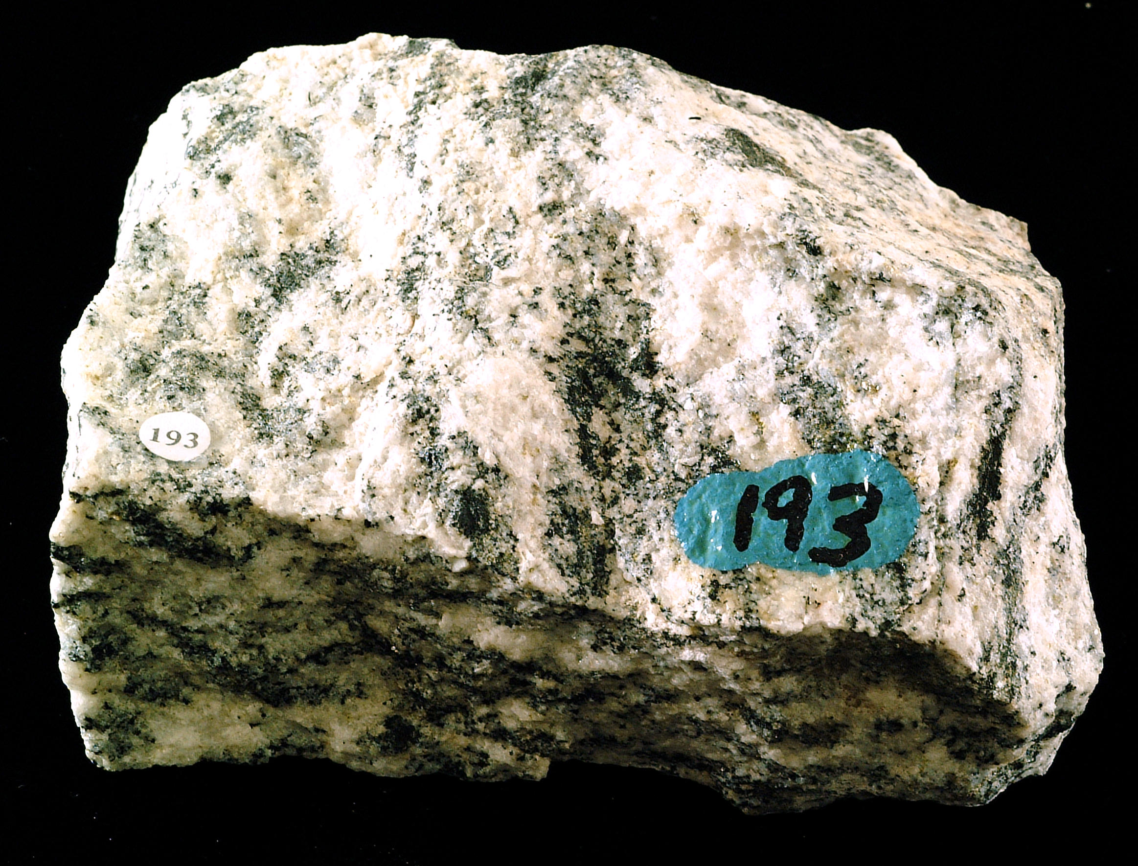 431 Diorite gneiss