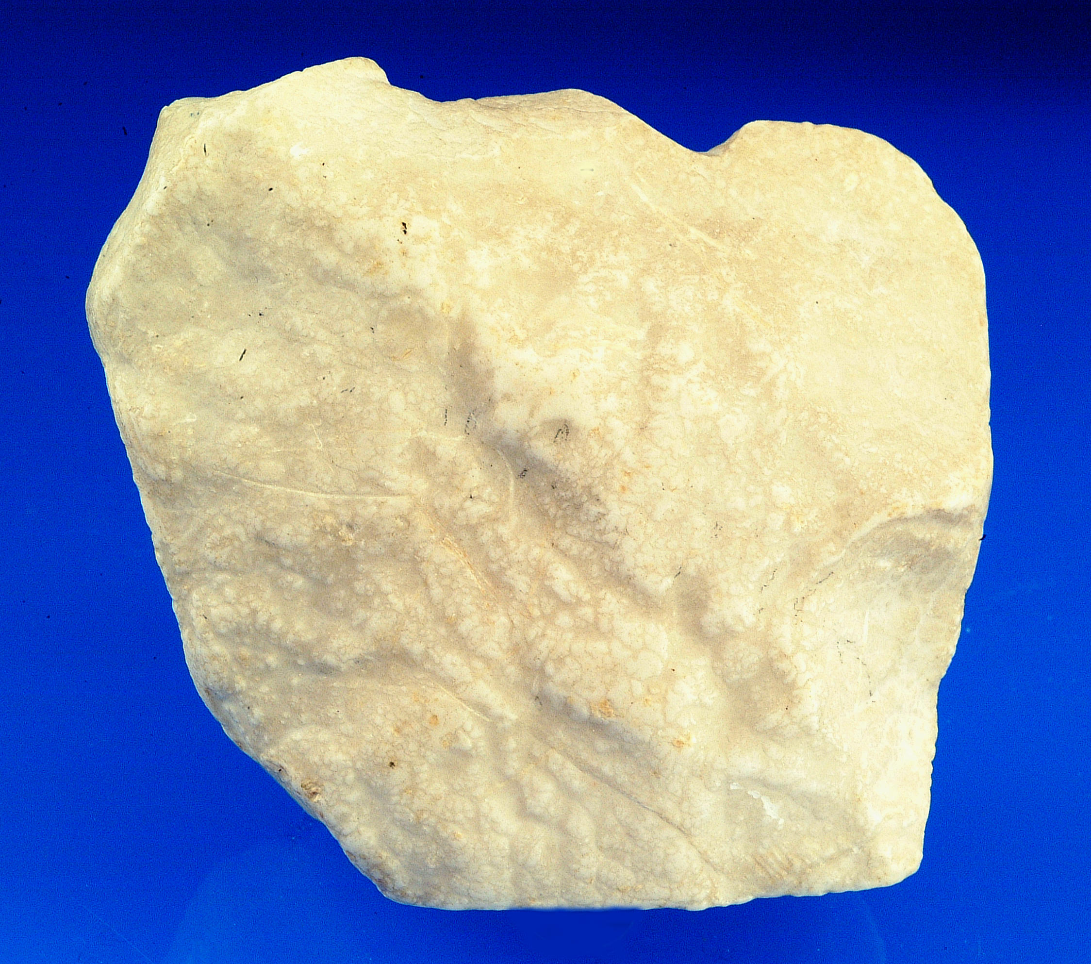 Characteristic Properties Gypsum Alabaster