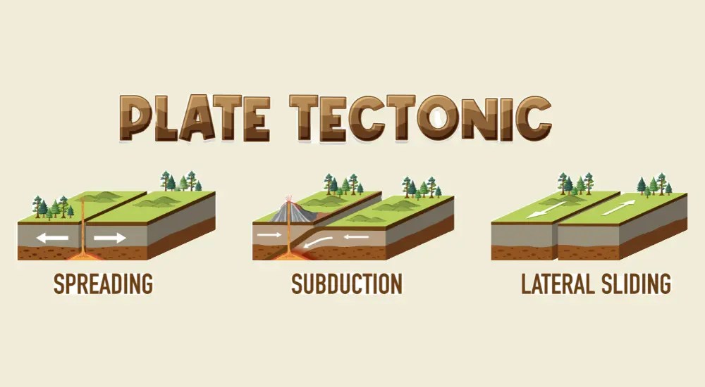 Plate Tectonic Theory Important MCQ