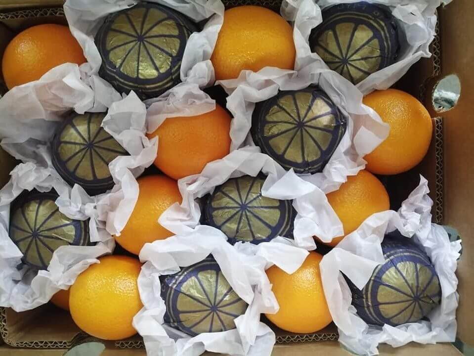 Egyptian Orange l Import Egyptian oranges from Egypt!