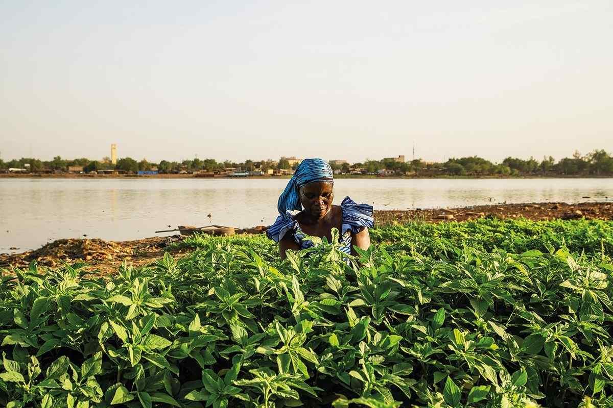 Africa's most ambitious idea The Great Green Wall Geographical