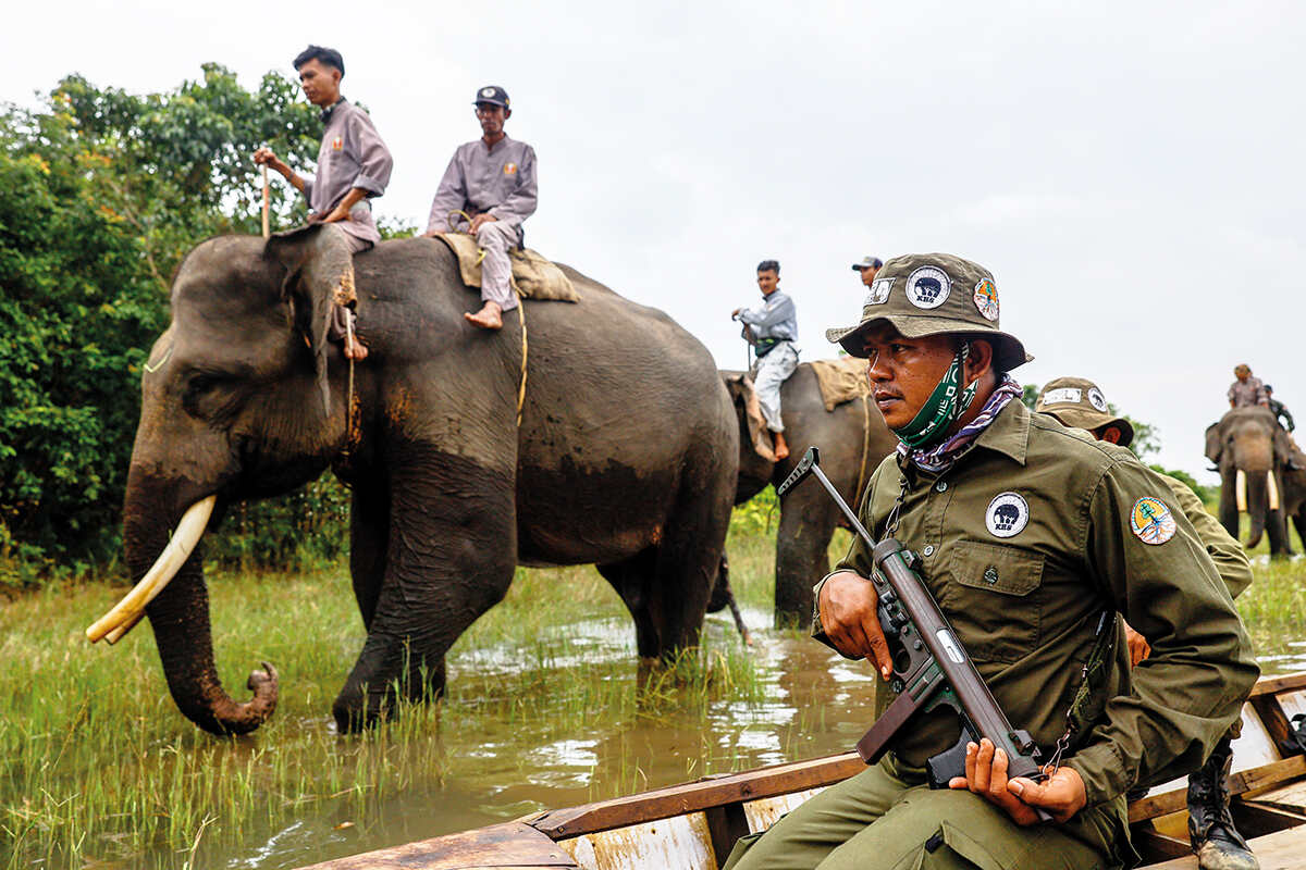 Curbing elephant human conflict in Sumatra Geographical