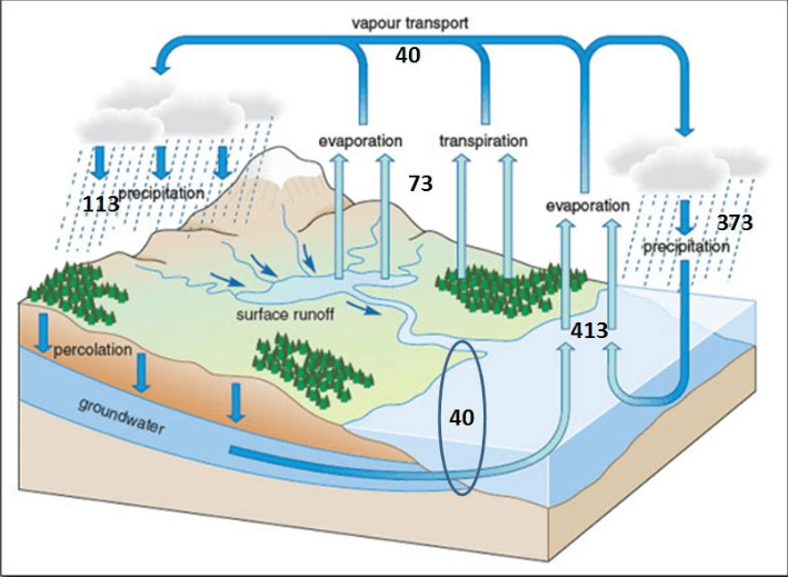 Water & Carbon As Natural Systems A Level Geography Revision Notes