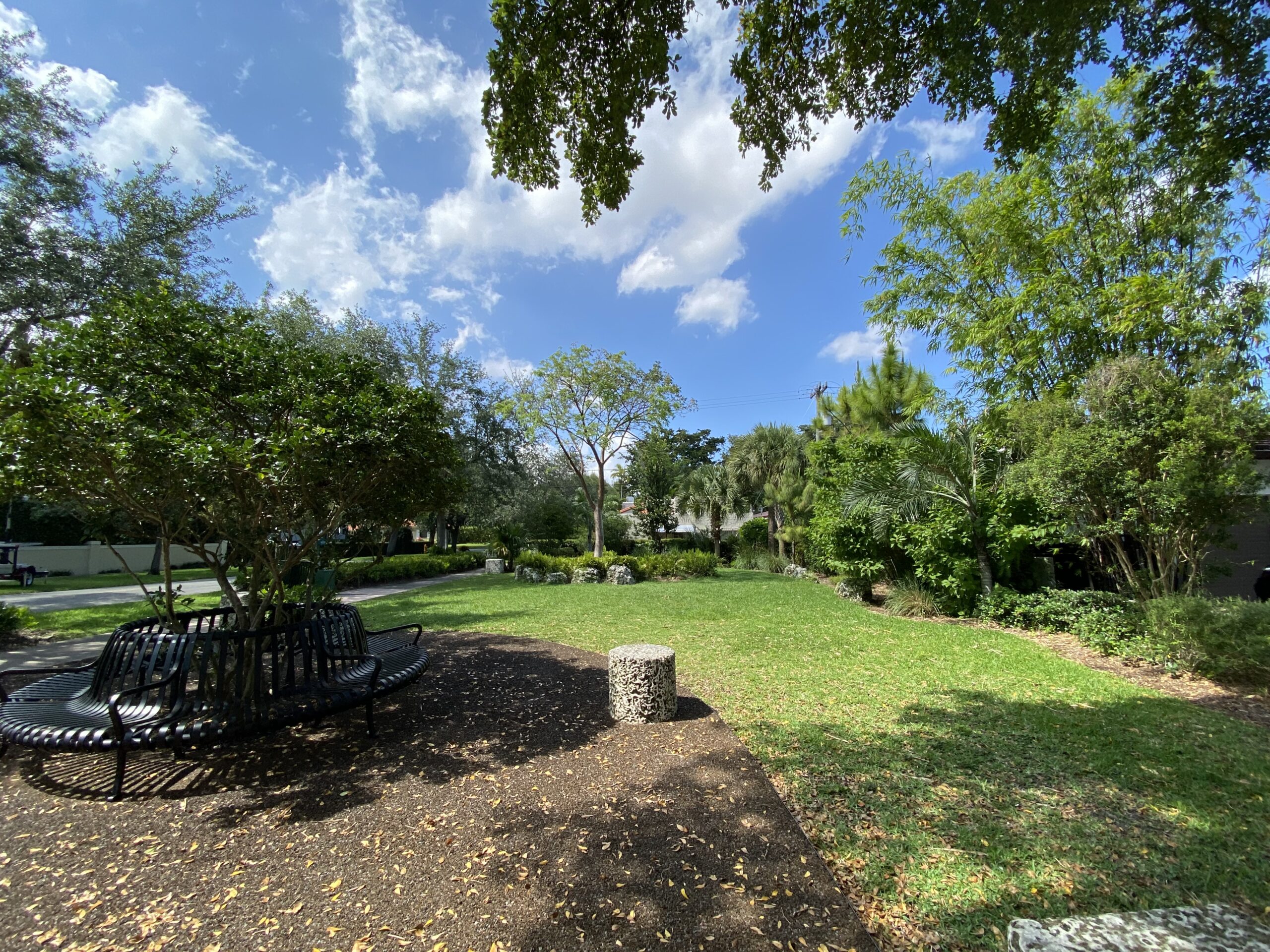 Sarto Park Coral Gables, Florida Geomantic Designs Landscape