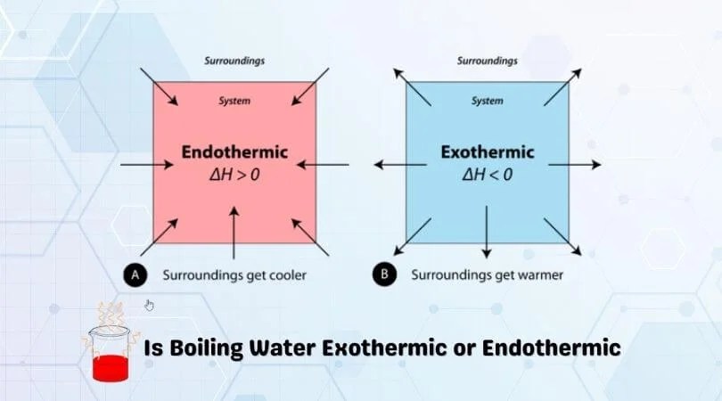 Is Boiling Water Exothermic or Endothermic Chemistry for beginners