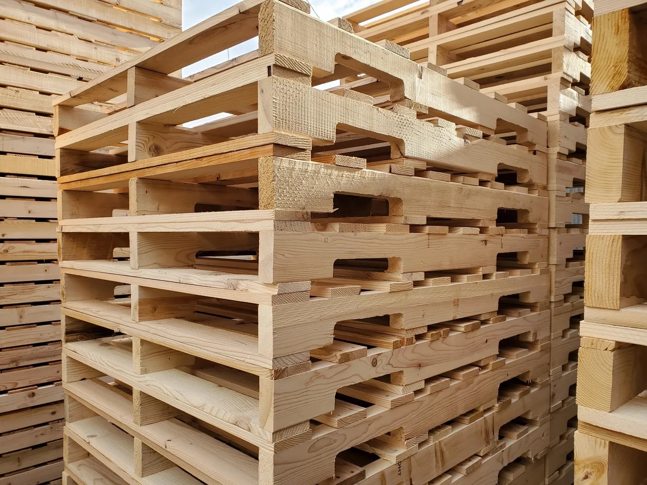 Common Wood Species for Pallets Wooden Pallets Geo Pallet Ltd.