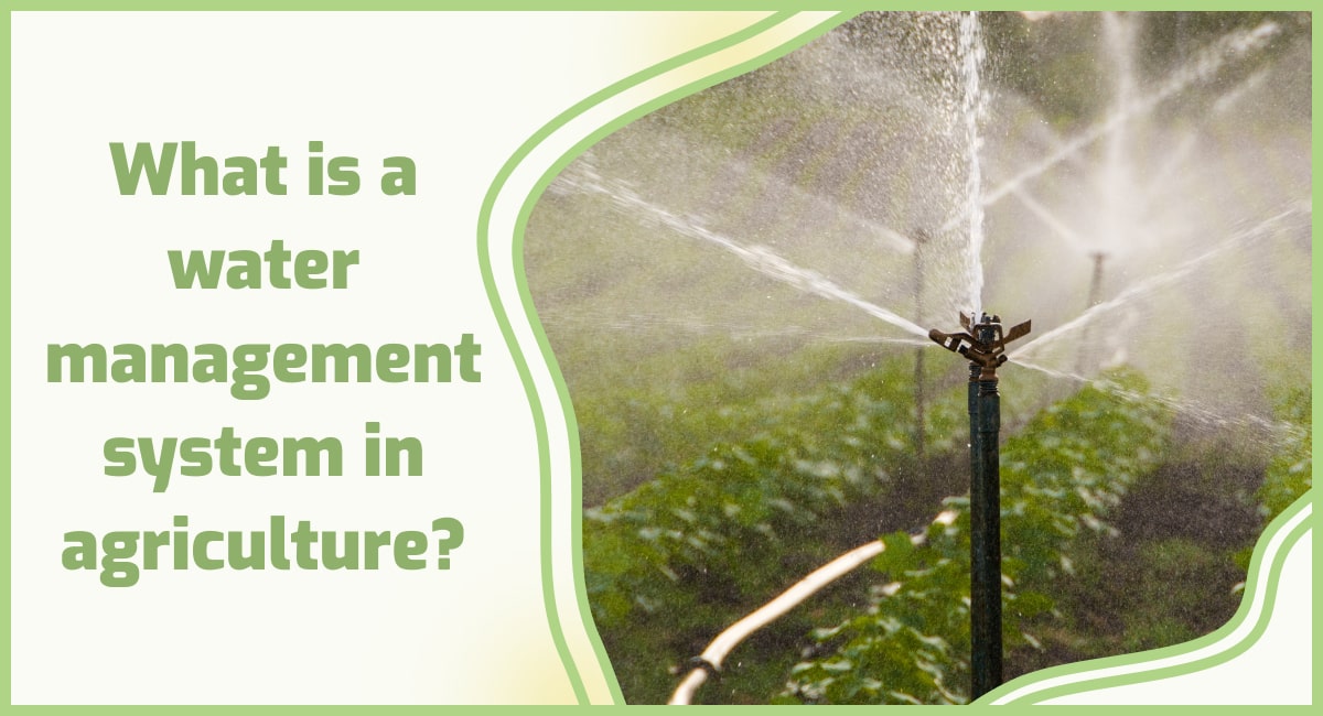 What is agricultural water management? 📉