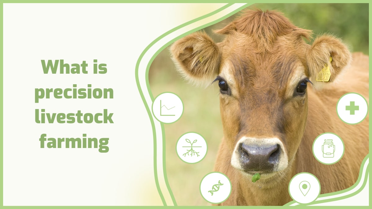 Best Gps Tracker for Farm Equipment Track, Protect, and Maximize