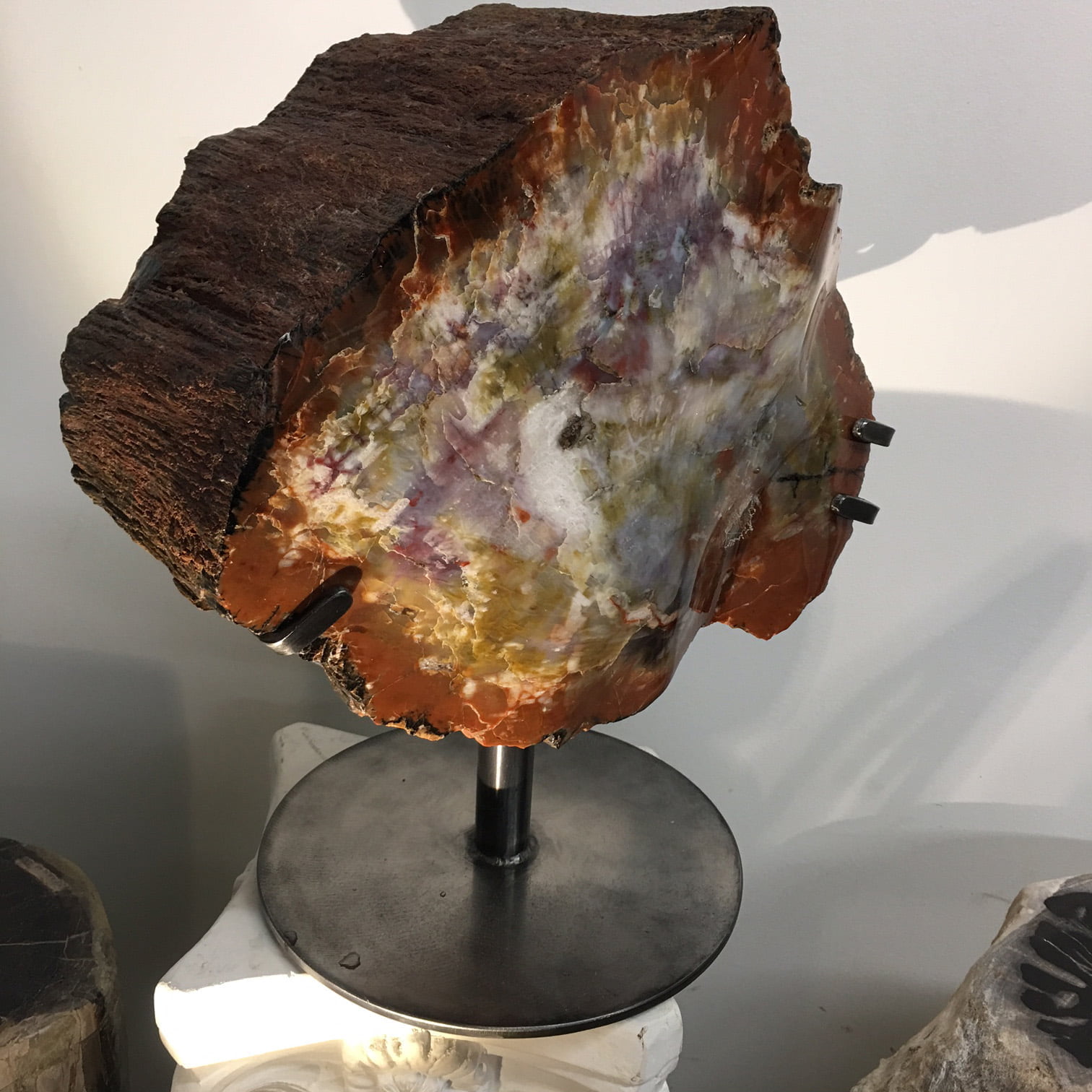 A7 Museum Arizona Petrified Wood Sculpture Hand Polished Both Sides