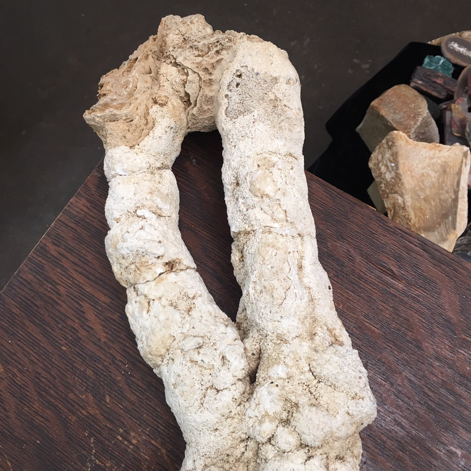 SP1 Very Rare Shaped Large Stalactite Speleothem from Java Island, Indonesia GeoRarities