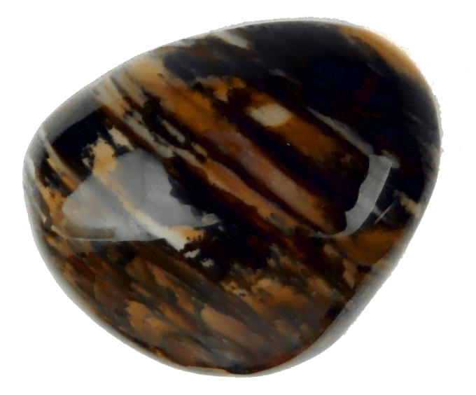 Bamboo Jasper GeoRarities