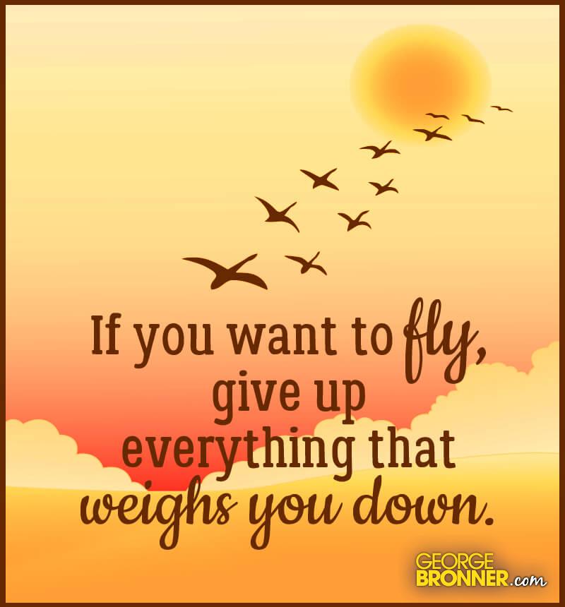 If You Want to Fly Bronner