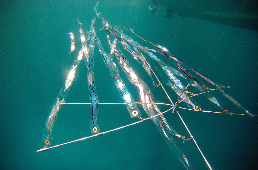 Unorthodox Dredge Tactics