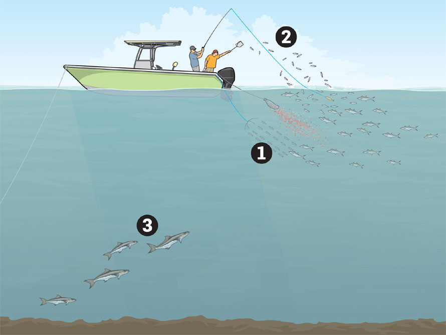 Unorthodox Dredge Tactics