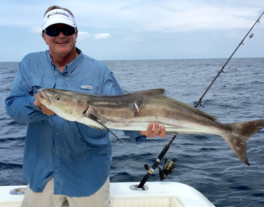 Does Noise Attract Fish?