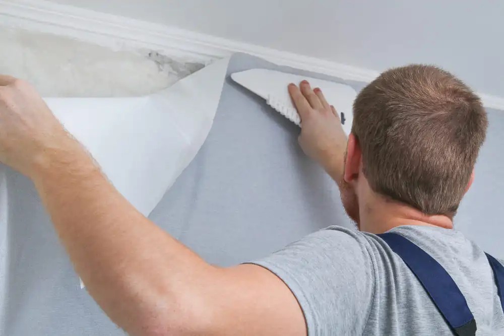 The Pros and Cons of Painting vs. Wallpapering Solution