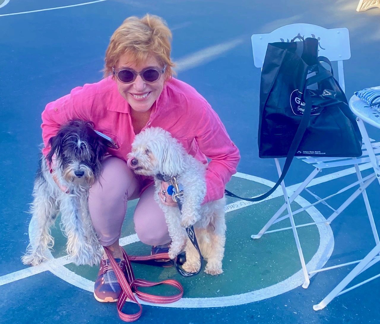 onlynaturalpet The dog specialists