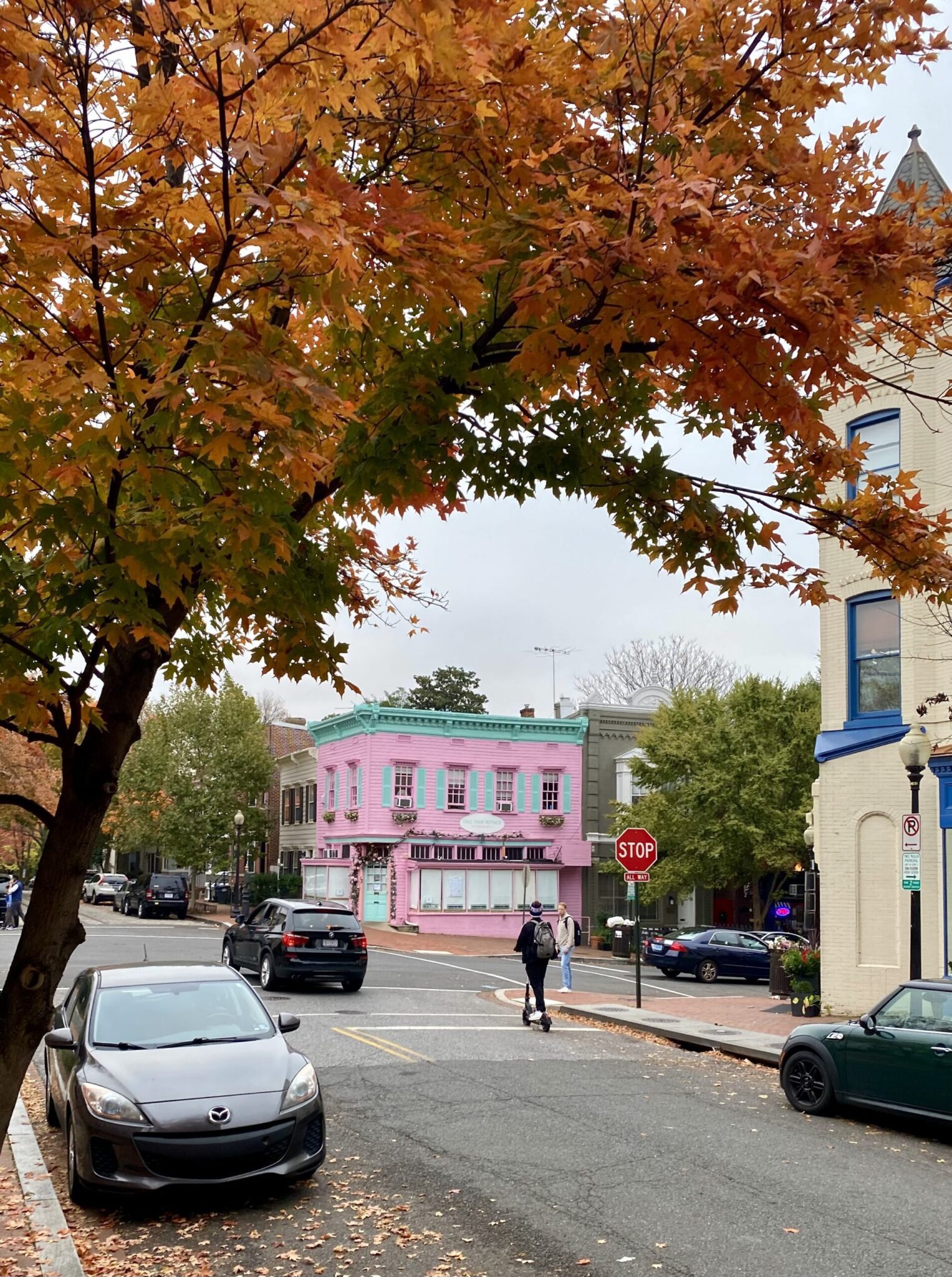 Trees for Over 3,000 Planted, More to Come The