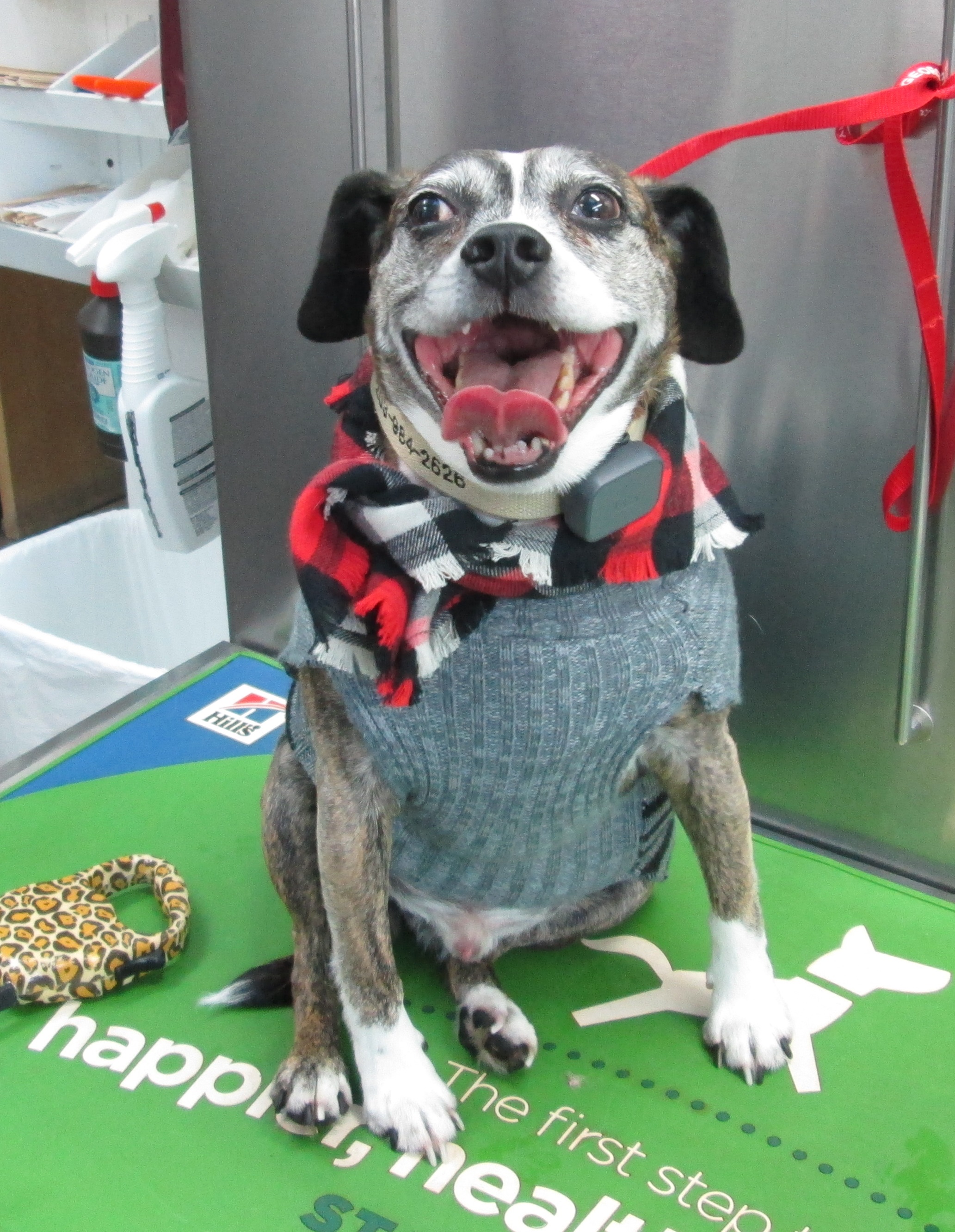 Our Furry Friends VETERINARY HOSPITAL
