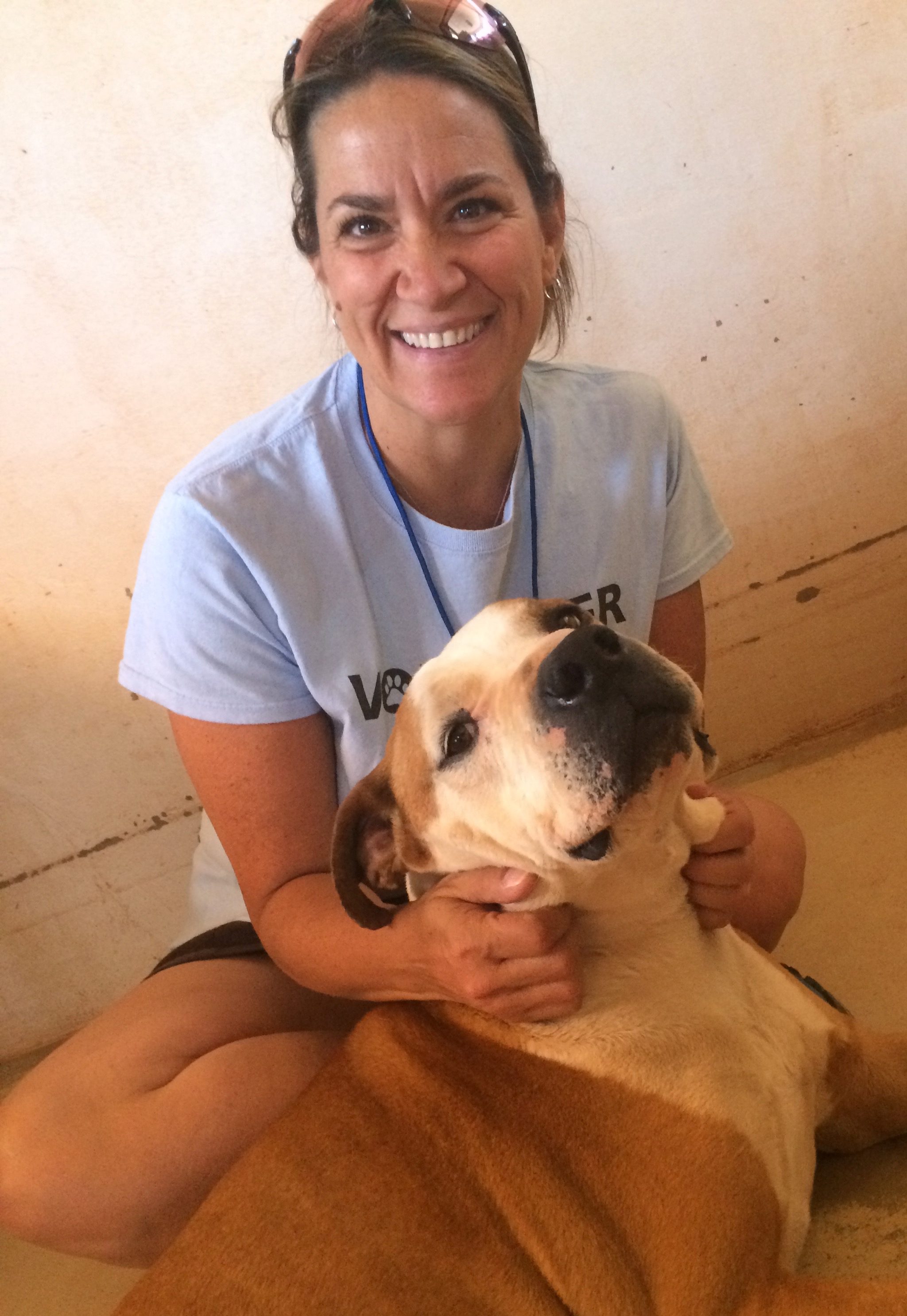 RebeccaKaufman_CertifiedVeterinaryTechnician VETERINARY