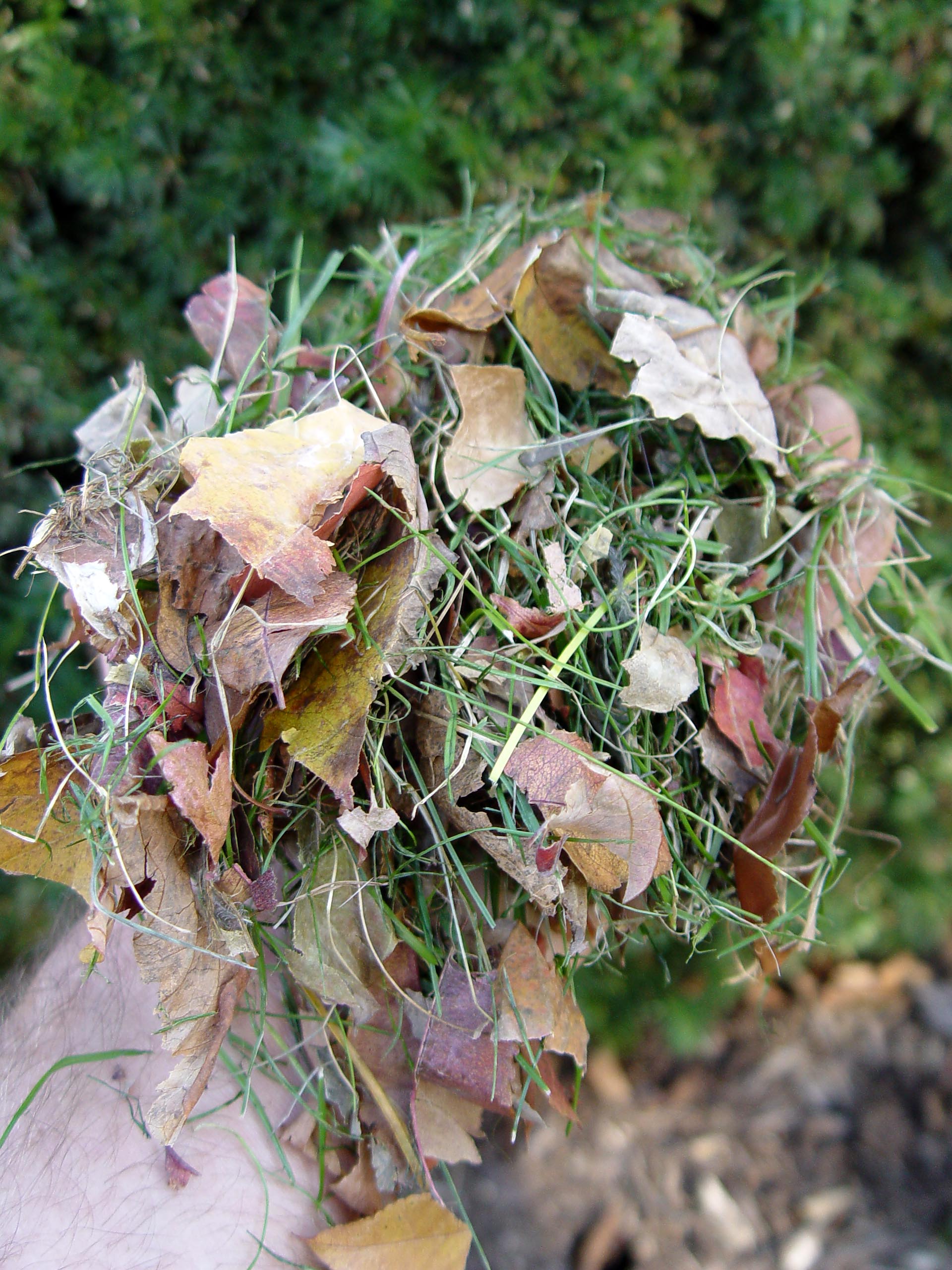 Composting, Style Garden Housecalls