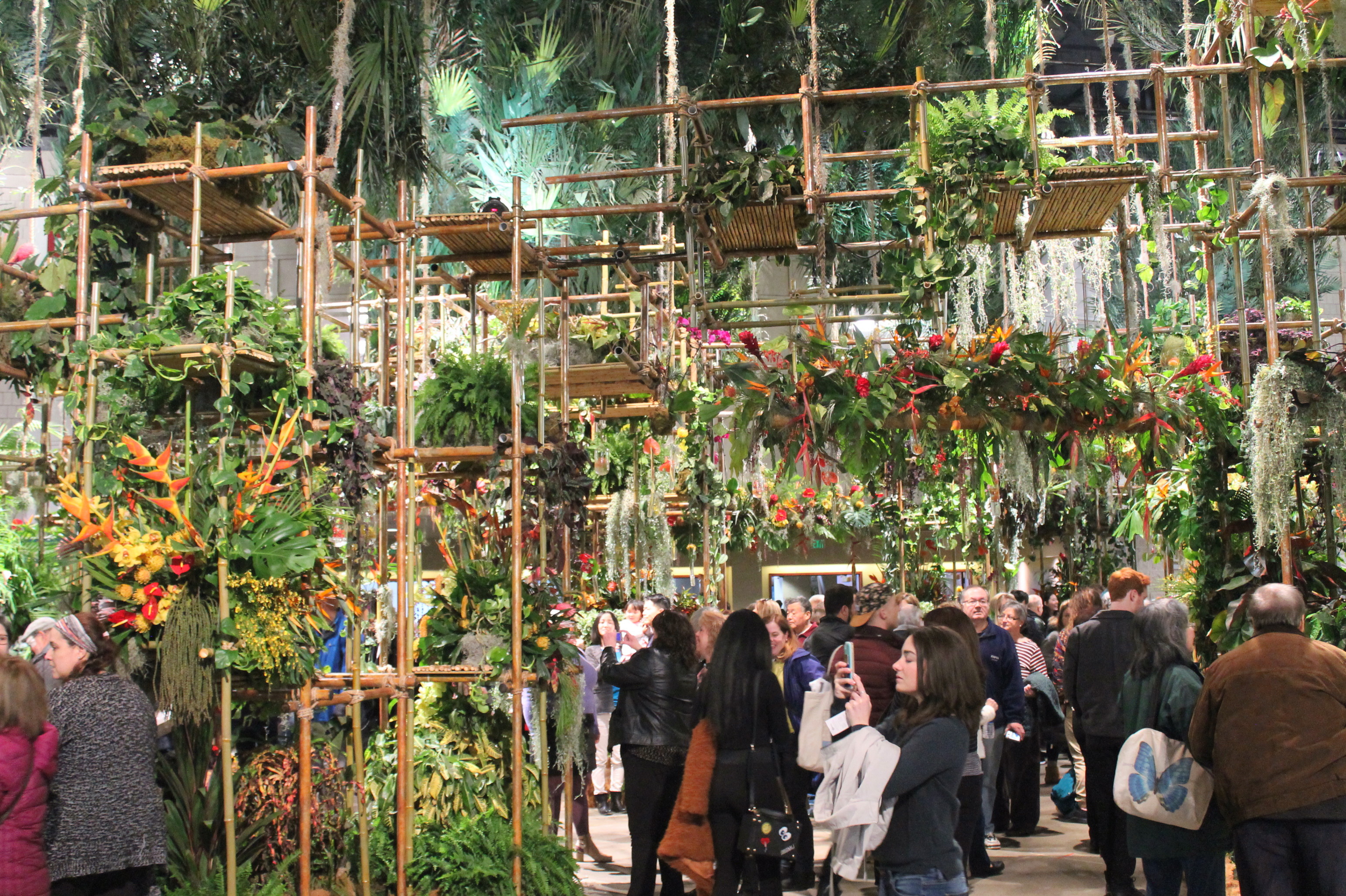 Theme of the 2019 Philadelphia Flower Show… and Highlights from 2018