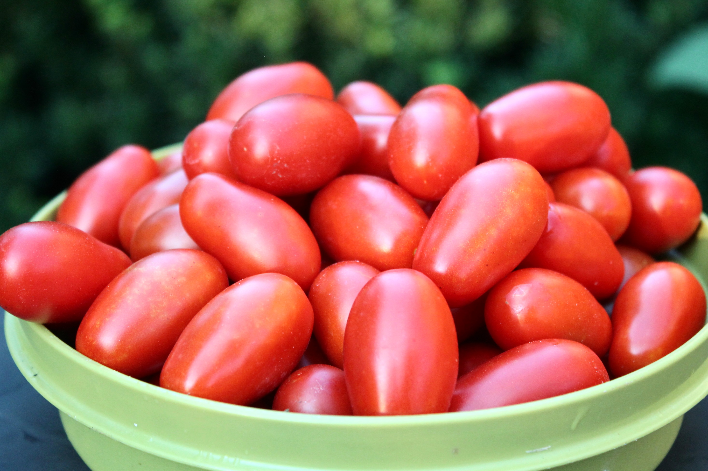 My AllTime Favorite Vegetable Varieties Garden Housecalls