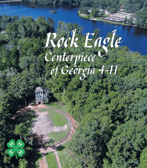 ROCK EAGLE CENTERPIECE OF 4H BOOK 4H Foundation