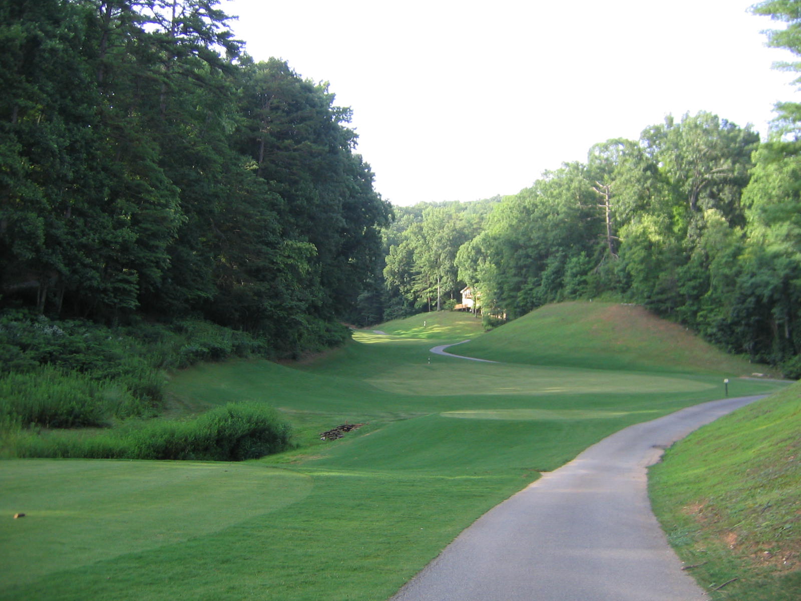 View of 17th Fairway Mountain Golf Property