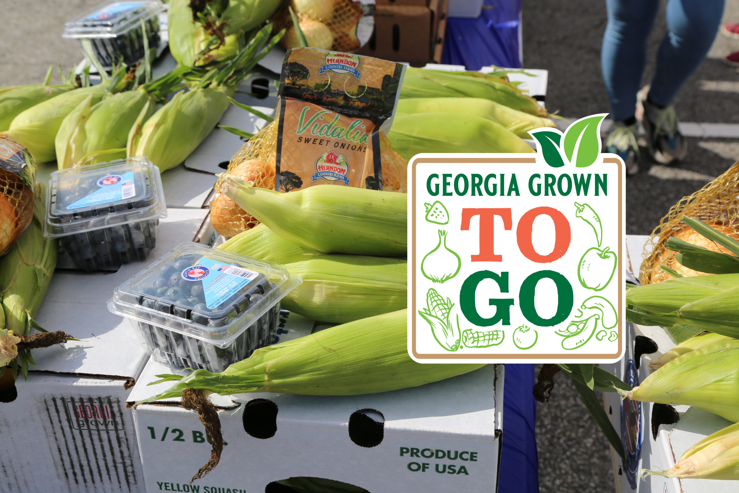 Grown A Division of the Department of Agriculture