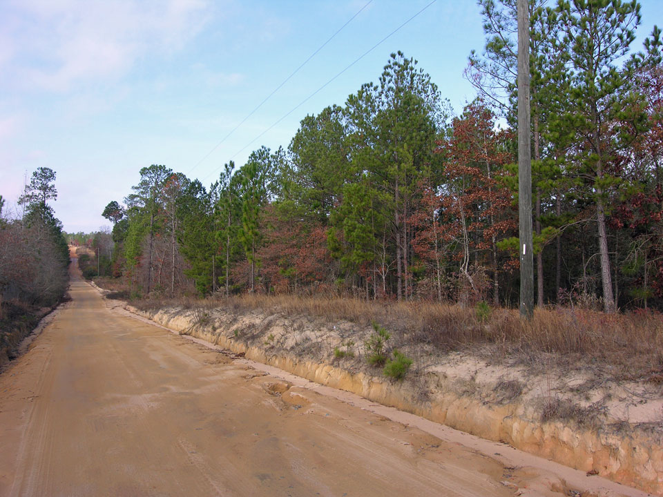 28+ acres wooded, open, creek Taylor County, Shivers Real