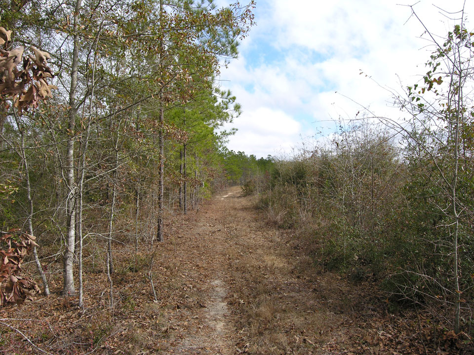 975/acre; 106+ acres wooded ster County, Preston,