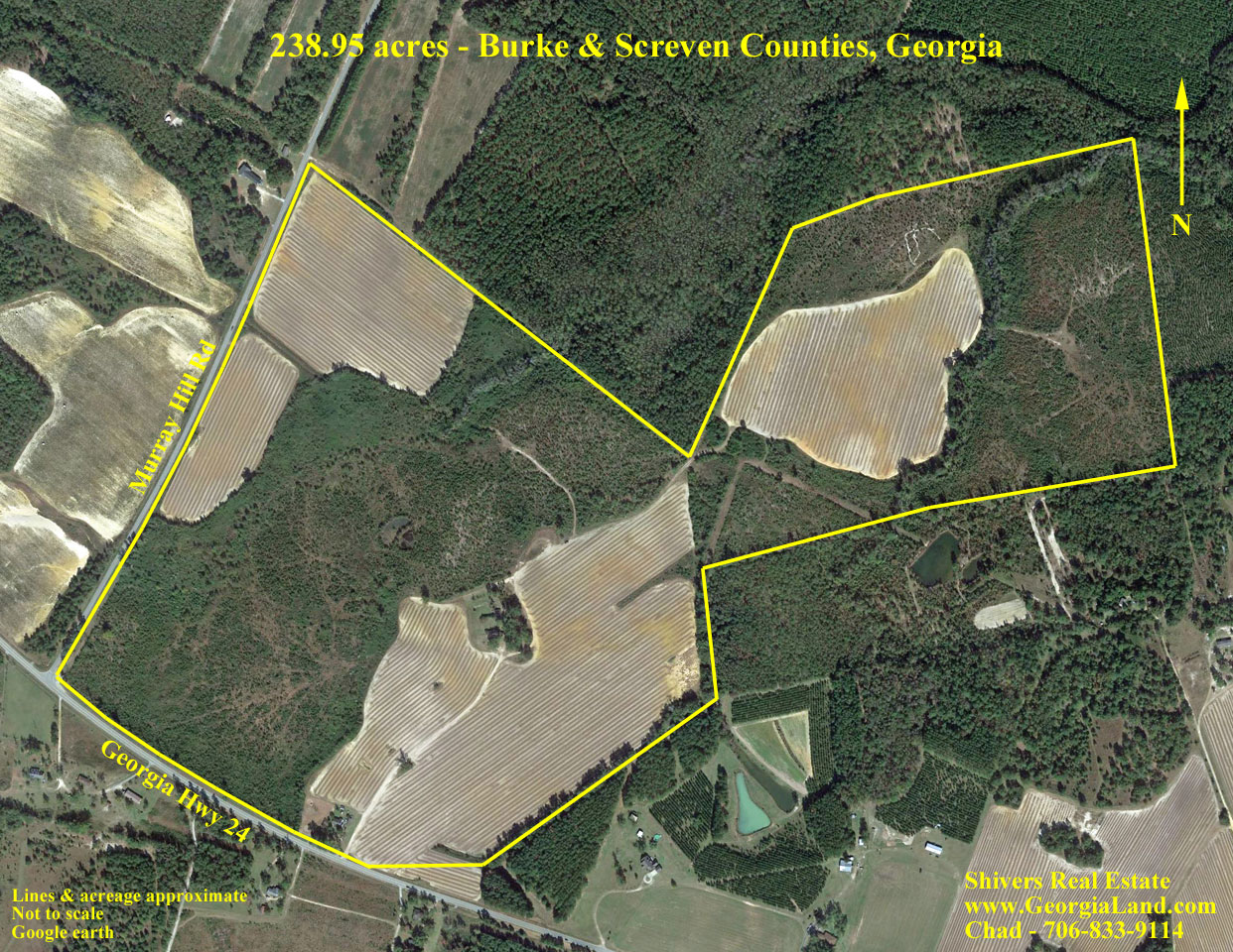238.95 acres with 2 homes, cultivated, wooded Burke & Screven