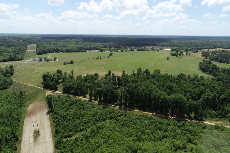 819.13 acres on Brier Creek, with home, pasture, and timber Burke