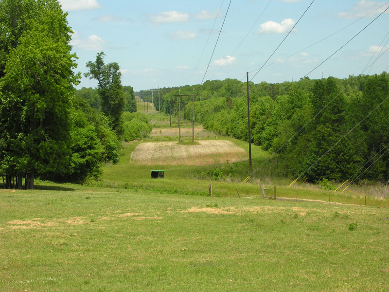 819.13 acres on Brier Creek, with home, pasture, and timber Burke