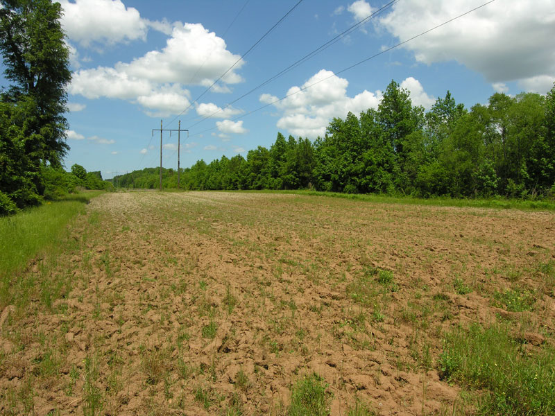 819.13 acres on Brier Creek, with home, pasture, and timber Burke