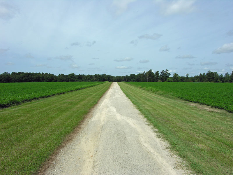 81 acres with a home, cabin, and pond East Jefferson County,