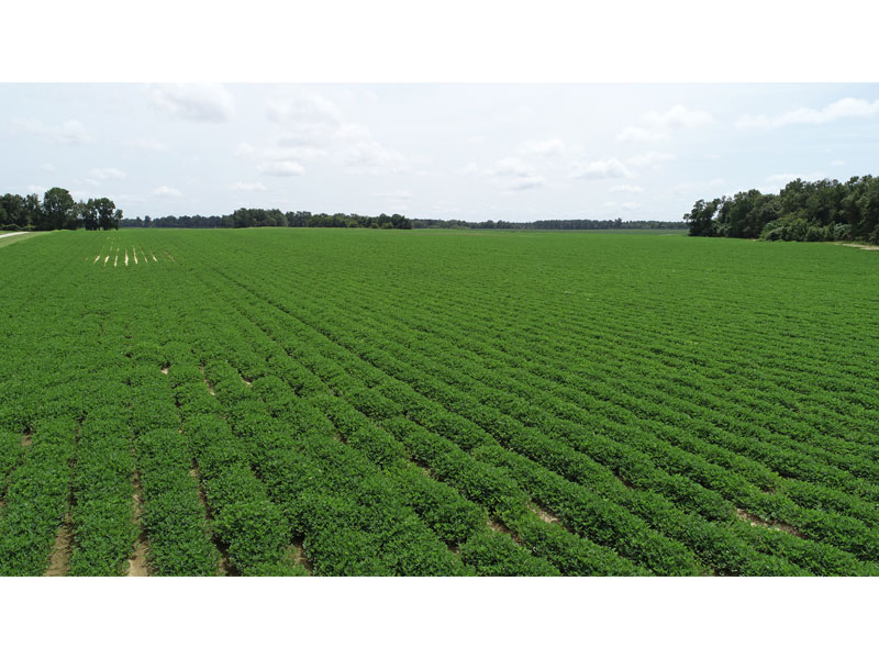 81 acres with a home, cabin, and pond East Jefferson County,