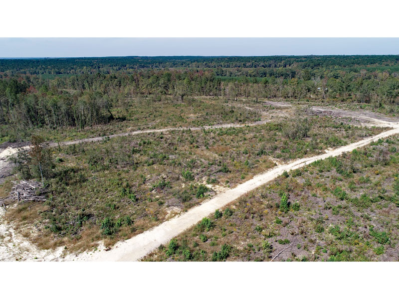 116.85 acres cutover timber land Warren County, Shivers