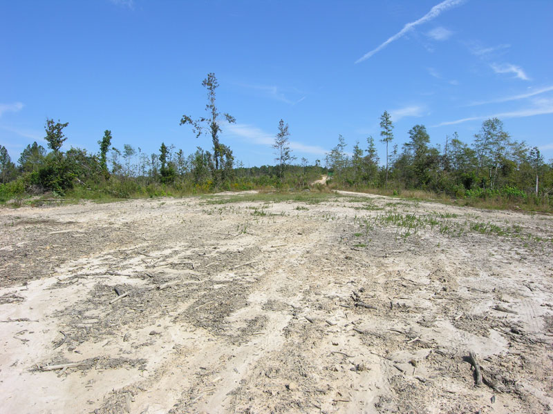 116.85 acres cutover timber land Warren County, Shivers