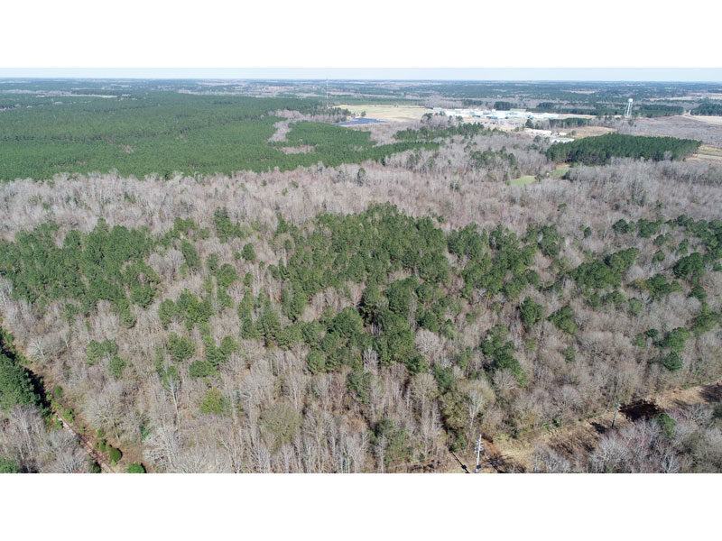 71+ acres wooded, creek Johnson County, Wrightsville,