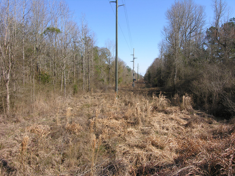 71+ acres wooded, creek Johnson County, Wrightsville,