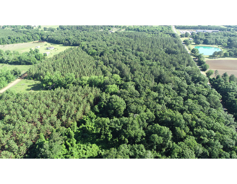 47.08 acres planted pines, hardwood Mitchell County,