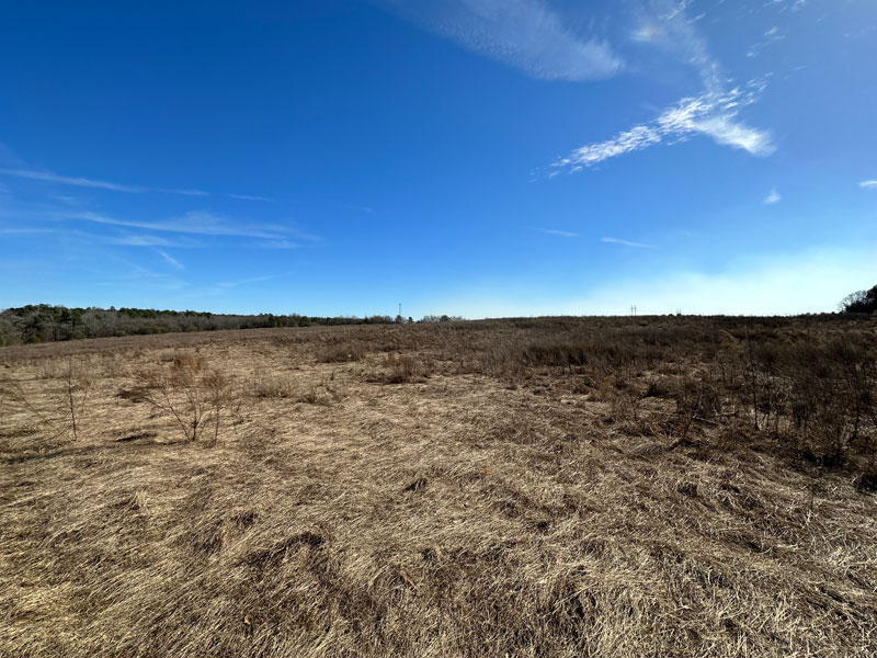 28.729 acres open Richmond County, Shivers Real Estate